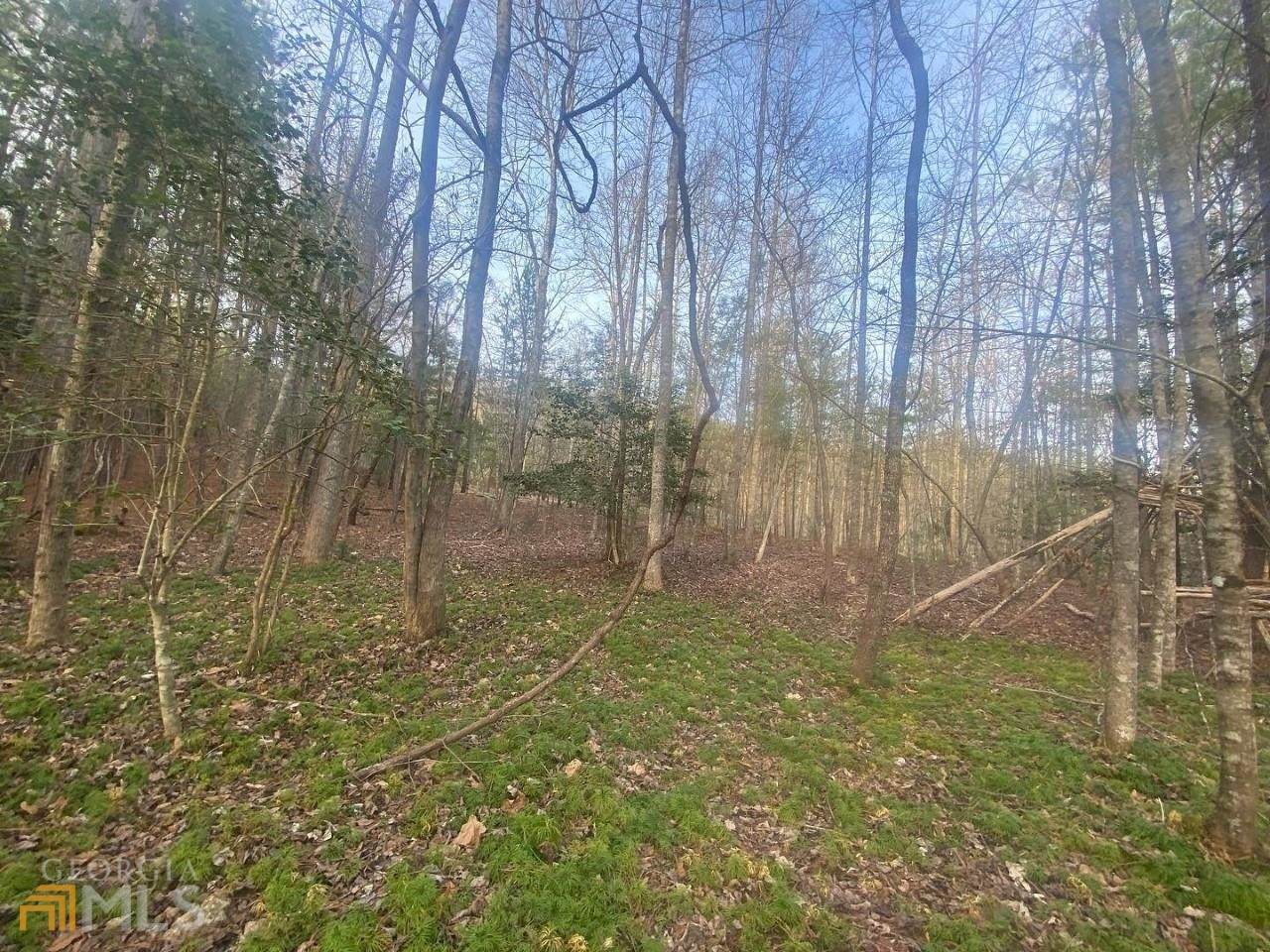 0 Hiddenbranch Dr - Photo 1