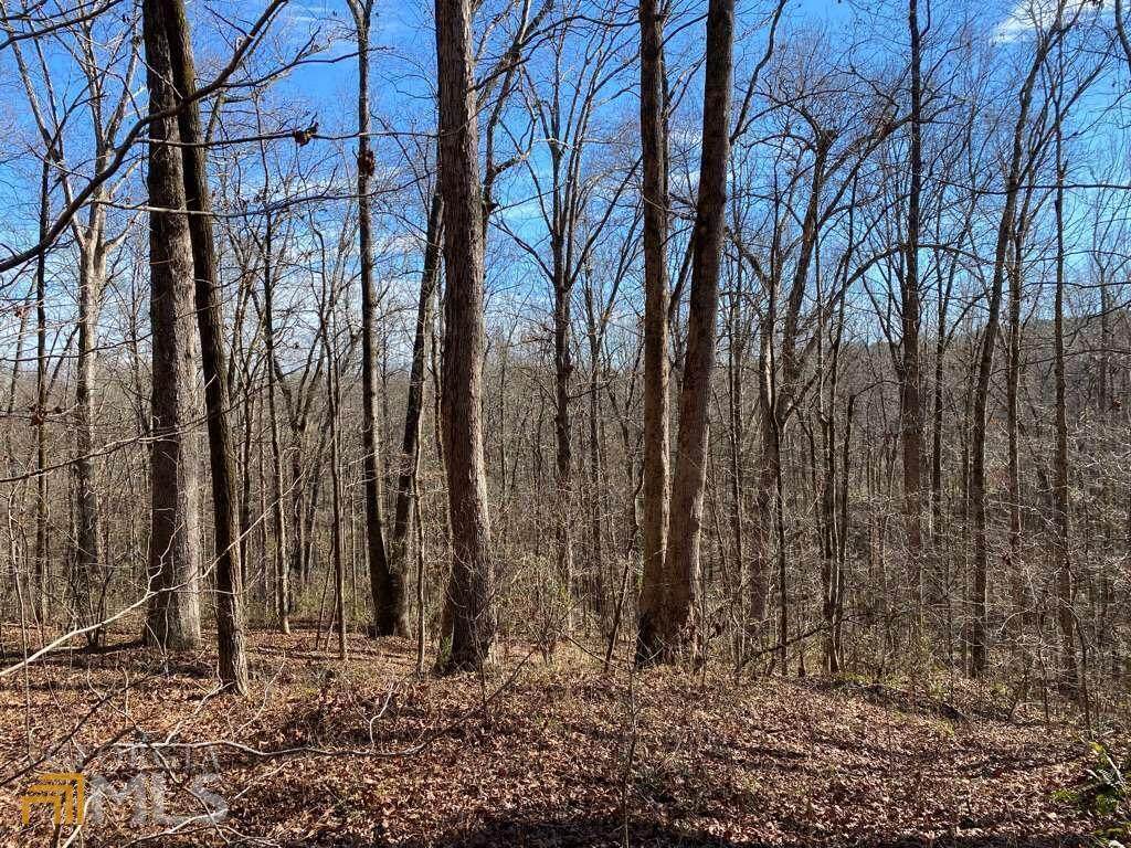 10255 Double Bridges Road - Photo 1