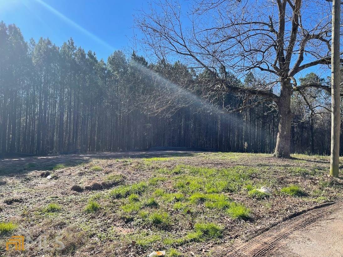1101 Liberty Church Road - Photo 1