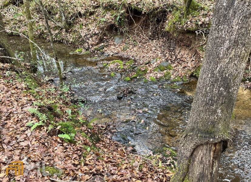 0 Hwy 142 Tract #B2 - Photo 1