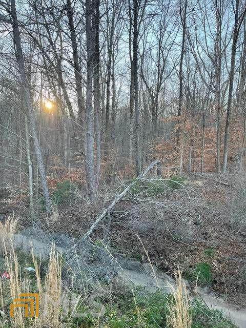 2202 Jesse Jewell Parkway - Photo 1