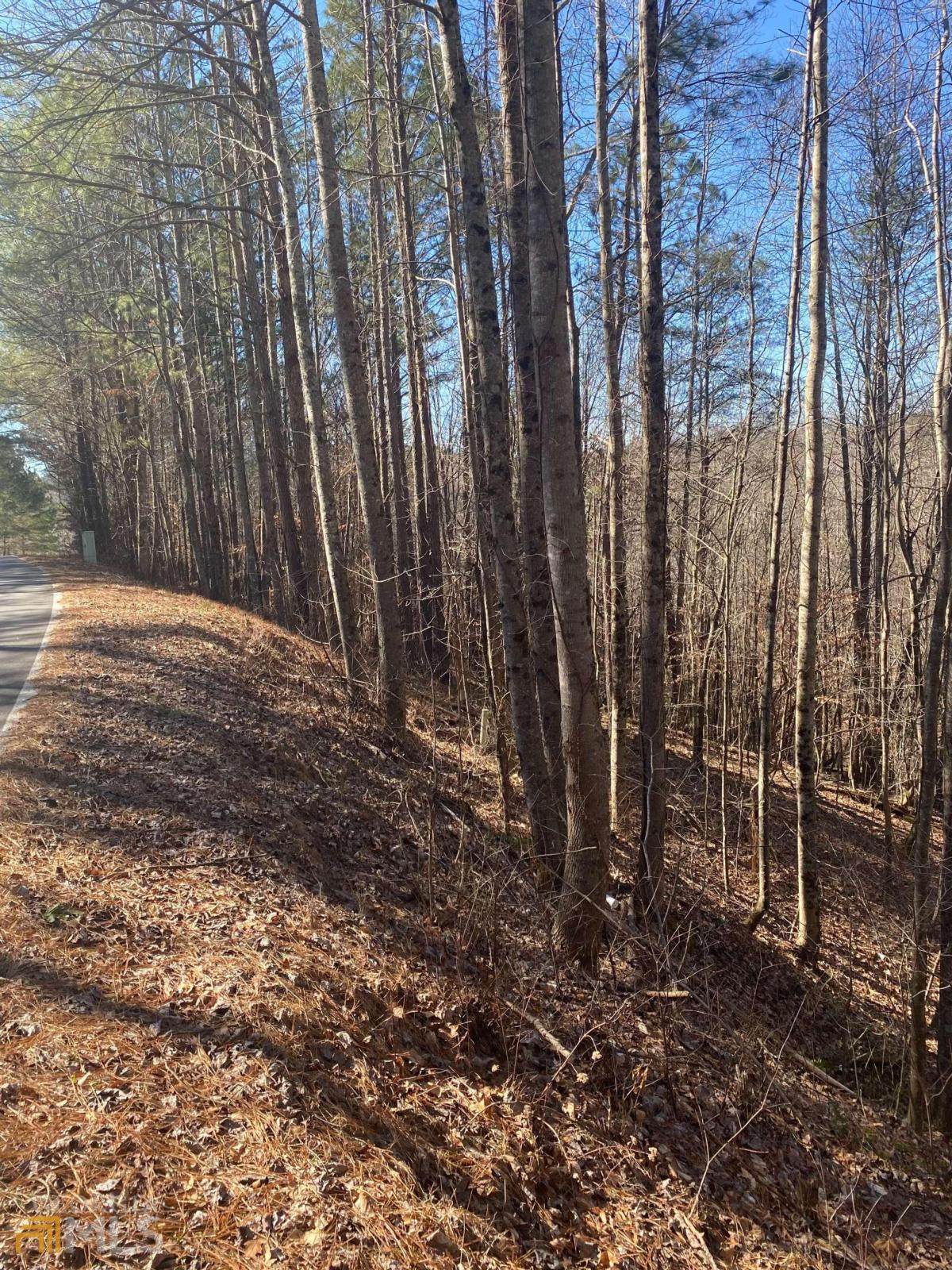 00 Ginger Drive - Photo 1
