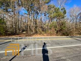 0 Forrest Avenue - Photo 1