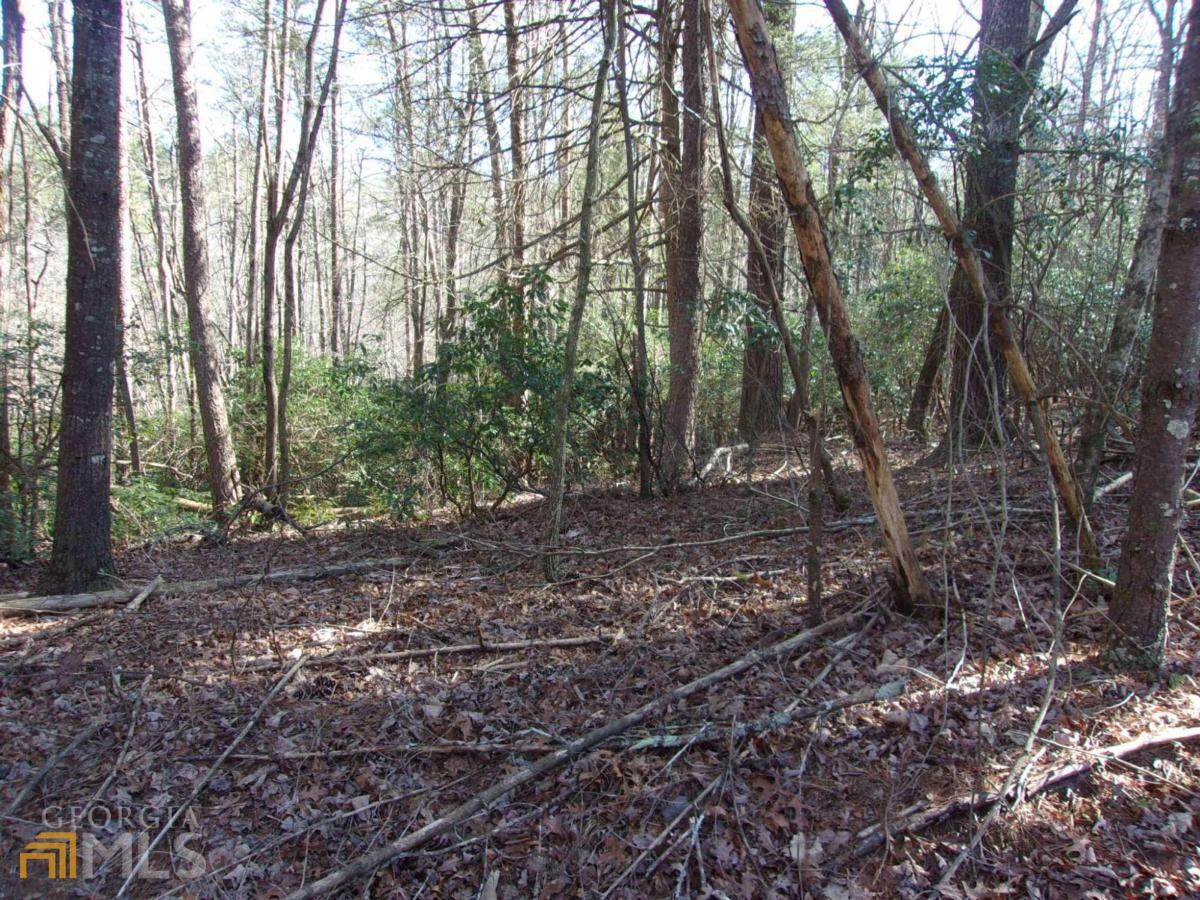 J260 Pine Ridge Road - Photo 1