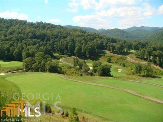 53 J Bent Grass - Photo 1