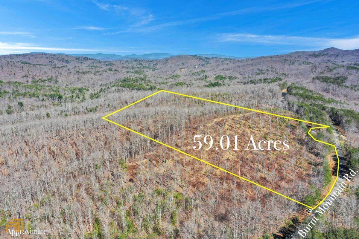 0 Burnt Mountain Rd - Photo 1