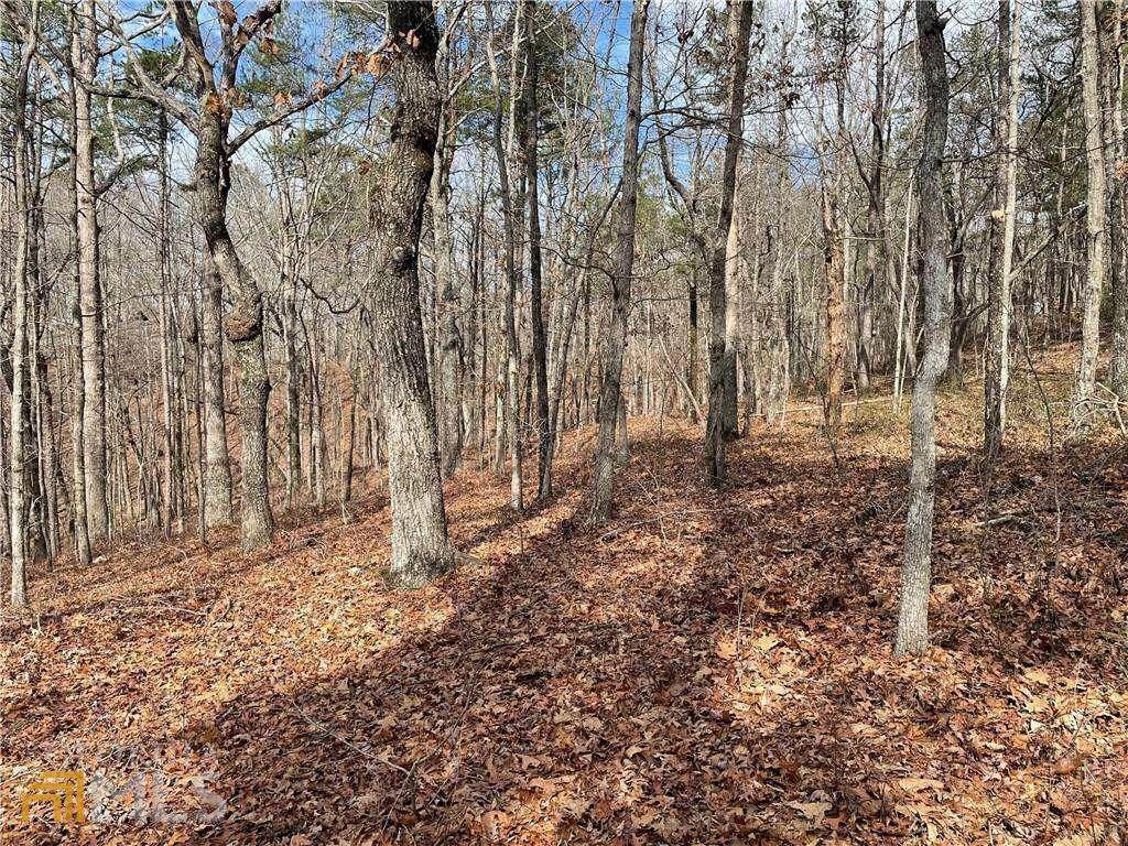 01 Old Federal Road - Photo 1