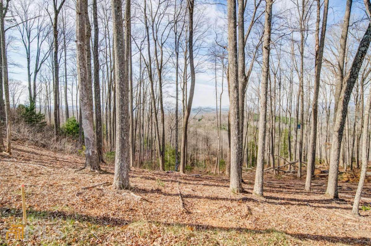 LOT 40 Winding Ridge - Photo 1