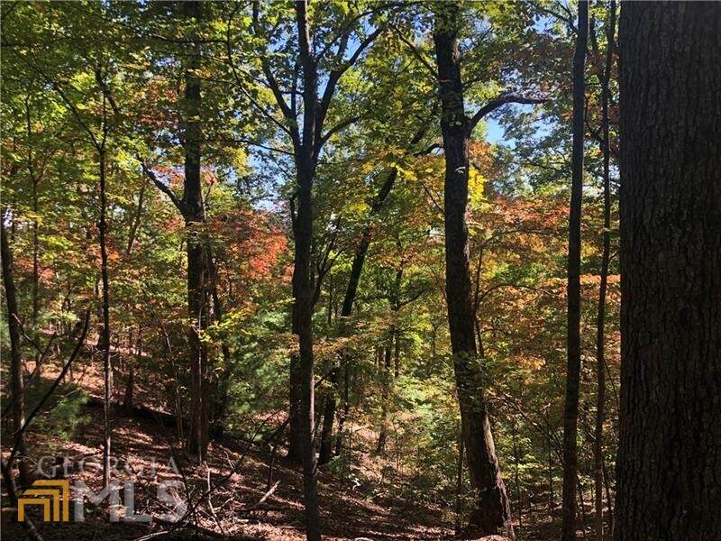 3343 Wildcat Trail - Photo 1