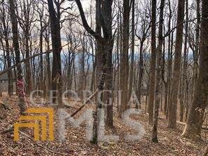 0 Big Stump Mountain Trail - Photo 1