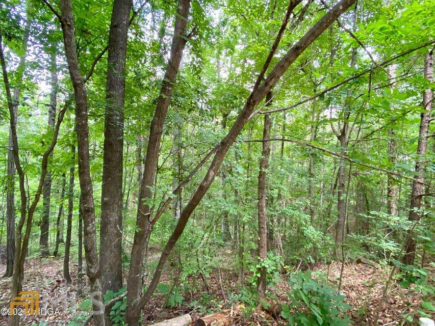 160 Hampton Way - Photo 1