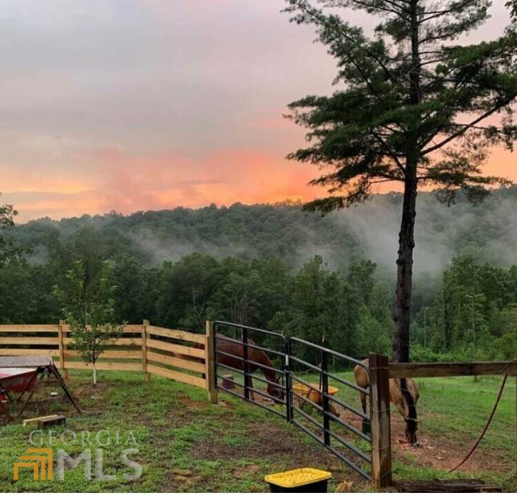 182 Black Bear Hollow - Photo 1