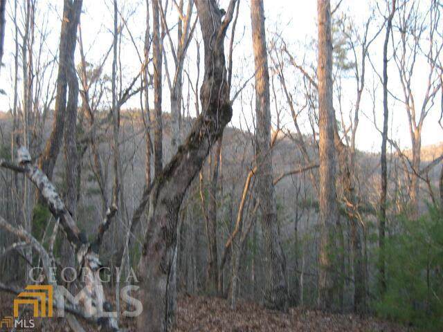 1 Blalock Goldmine Road - Photo 1