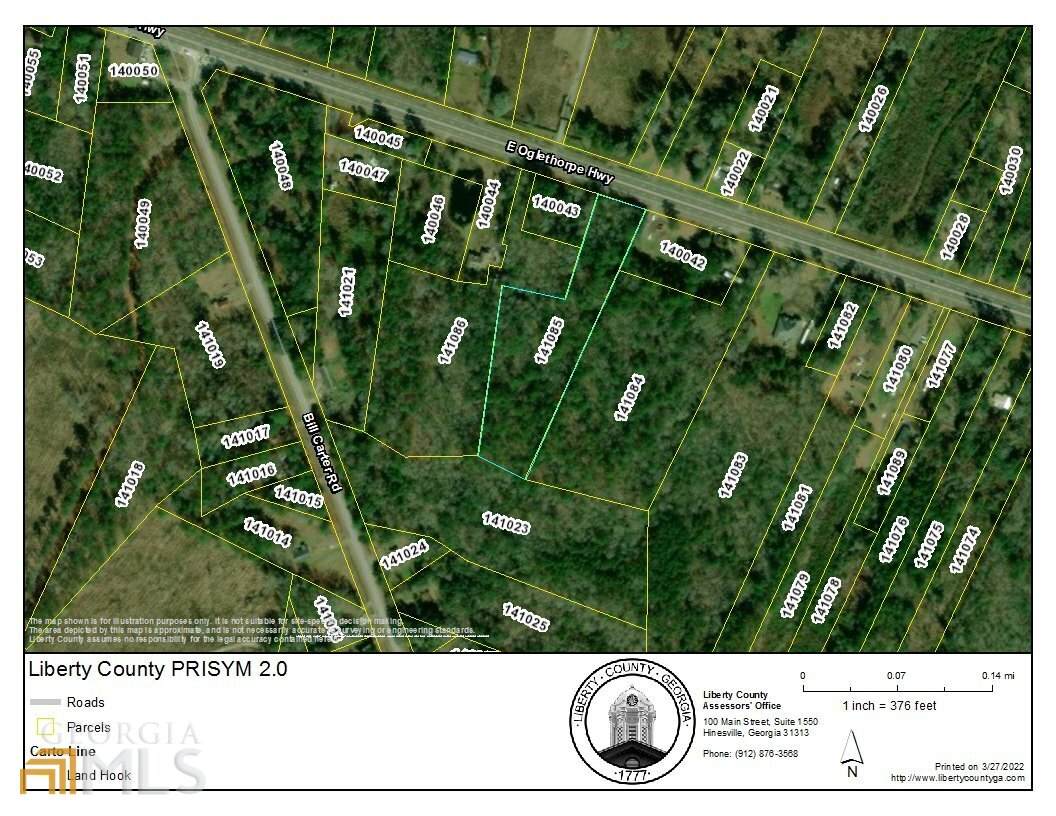 0 Oglethorpe East Highway - Photo 1