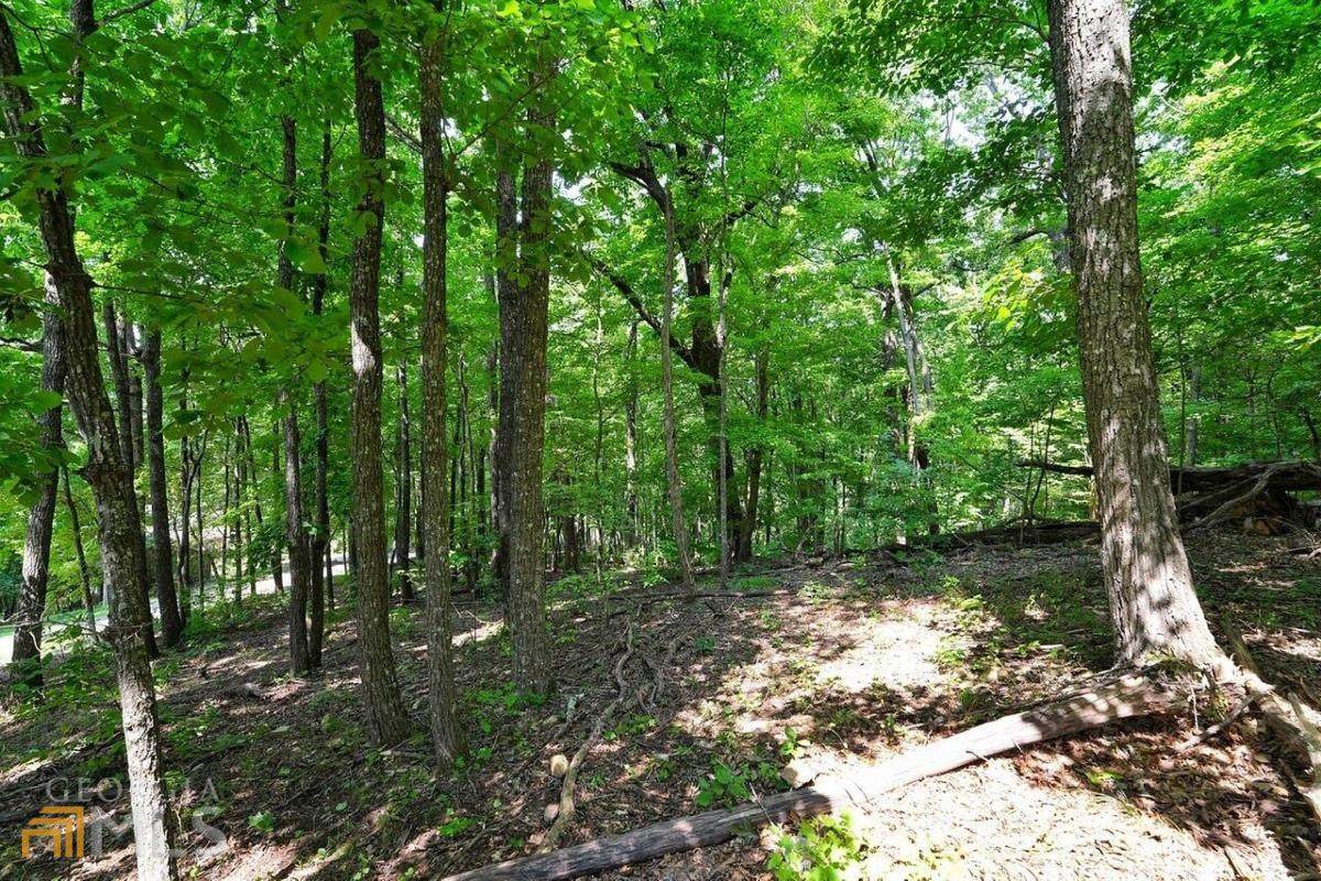4548 Sassafras Mountain Trail - Photo 1