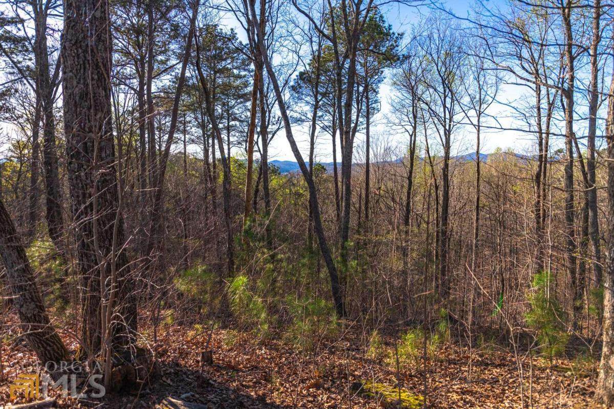 175 Doll Mountain Road - Photo 1
