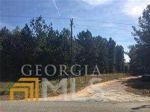 334 Jenkinsburg Road - Photo 1