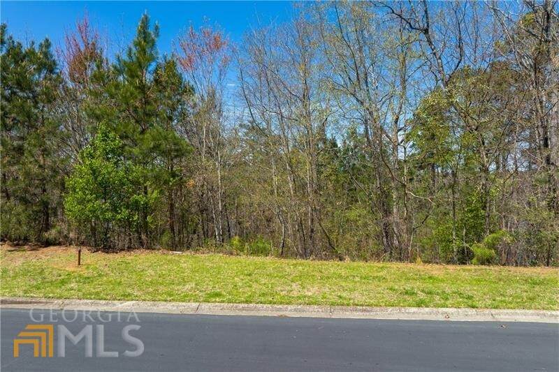 2807 Point Overlook - Photo 1