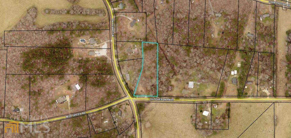 1068 Hutcheson Pass - Photo 1