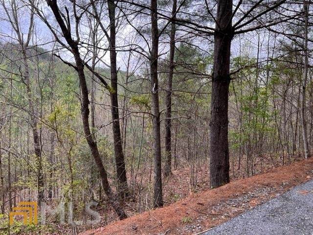 LT 54,55,58 Choctaw Ridge Trail - Photo 1
