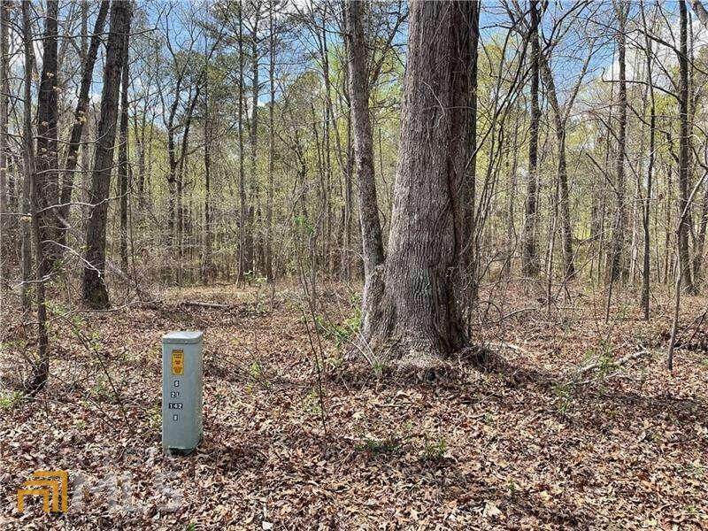 111 Henry Turner Trail - Photo 1