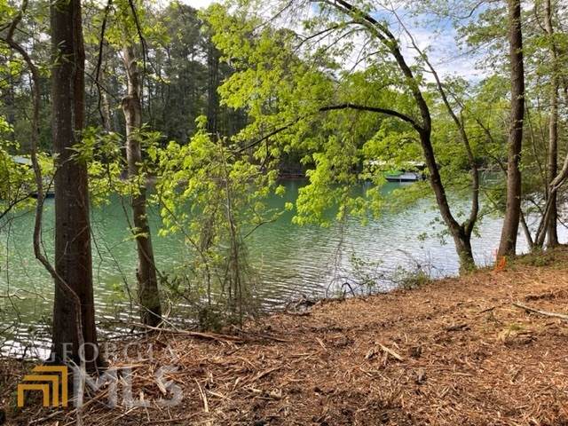 0 Lake Pointe Road - Photo 1