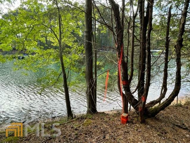 0 Lake Pointe Road - Photo 1