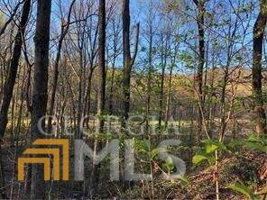 00 Crippled Oak Trail - Photo 1