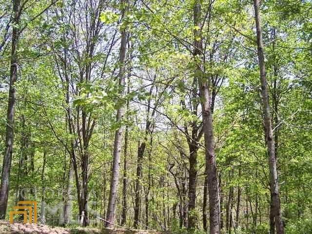 0 Schonberg Lane (Ridgepole Pt 9) - Photo 1
