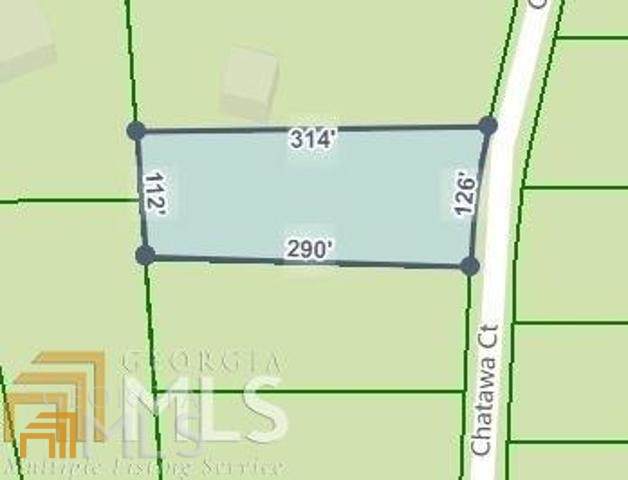 LT415 Chatawa Court - Photo 1