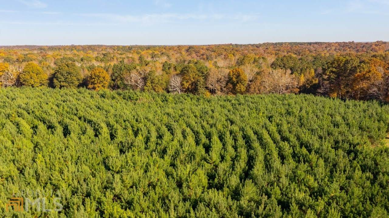 0 Shirey Dairy, Tract 6 (10 Acres) - Photo 1