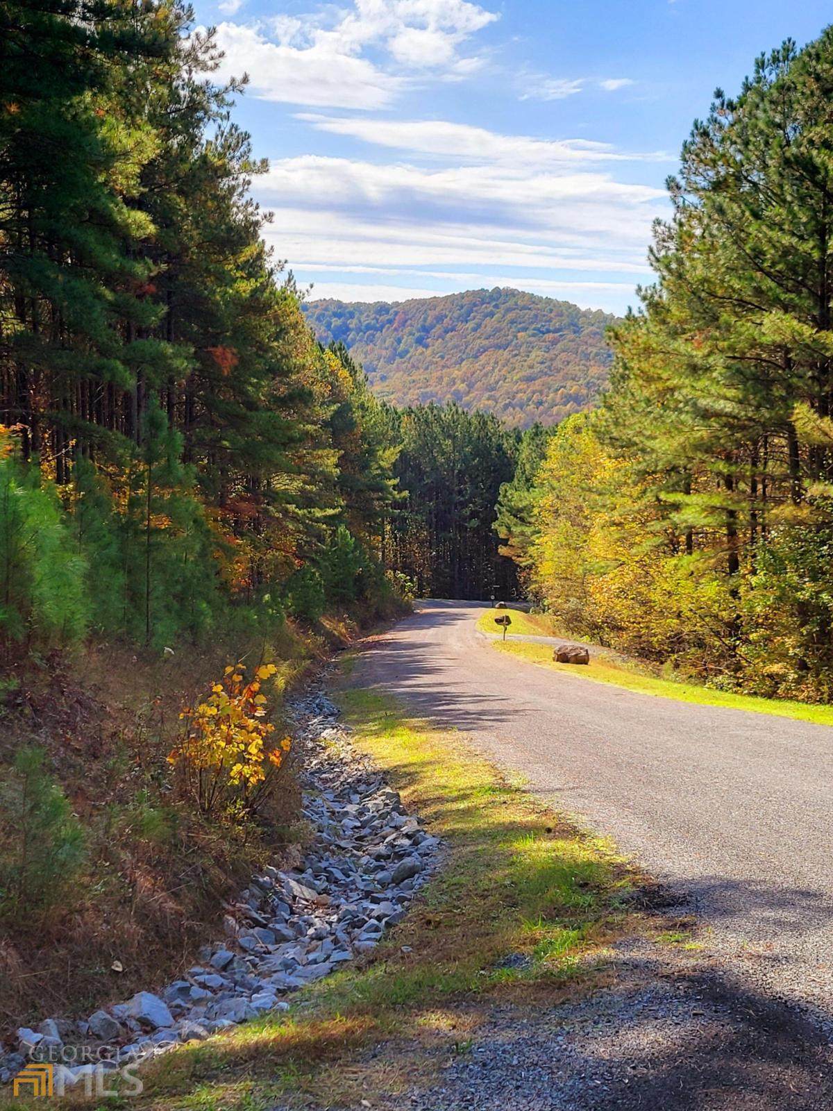 LOT 6 Black Bear Ridge Road - Photo 1