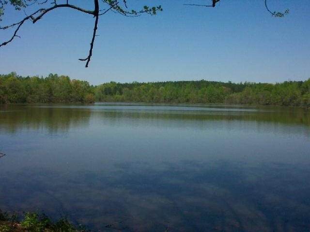 847 Walt Sanders Road - Photo 1