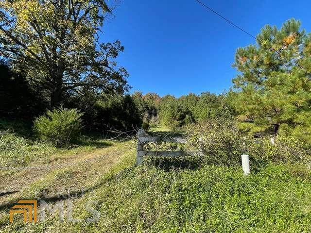 1083 Miller Ferry Road - Photo 1