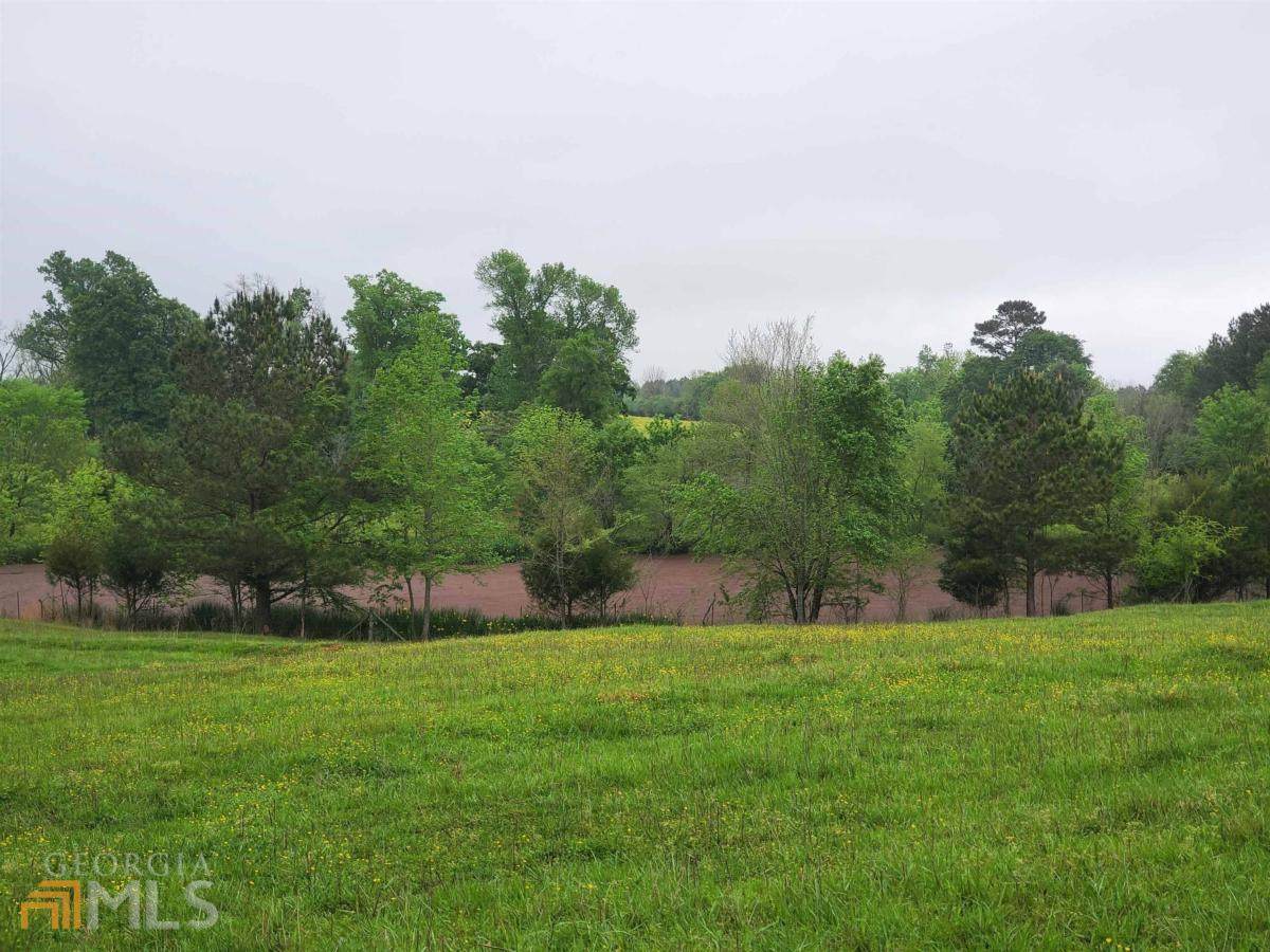 0 Shady Dale Road - Photo 1