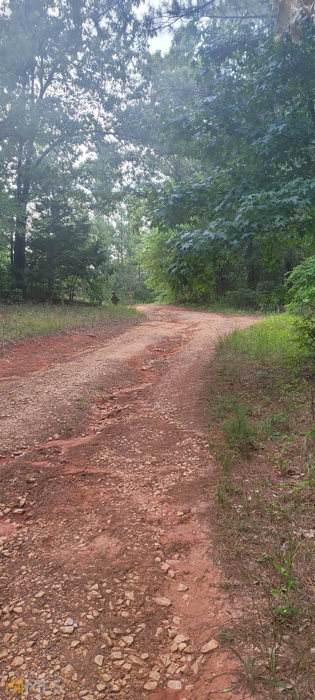 4280 Victory Road - Photo 1