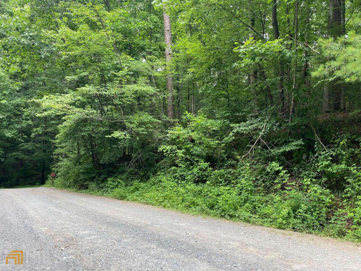0 Graham Ct Lot 3770 - Photo 1