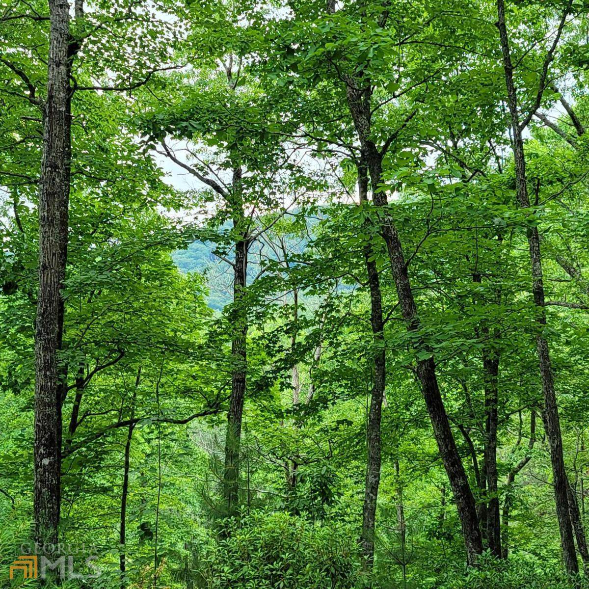 LT 31 Whisper Woods - Photo 1