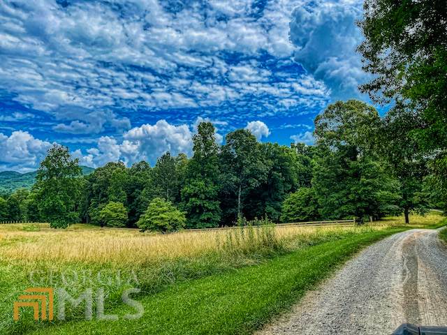 24.89 AC Camp Creek Road - Photo 1