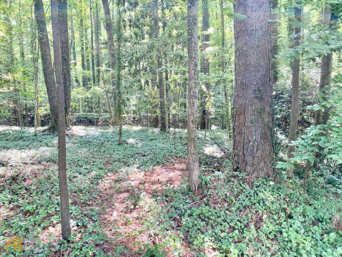0 Pine Oak Drive - Photo 1