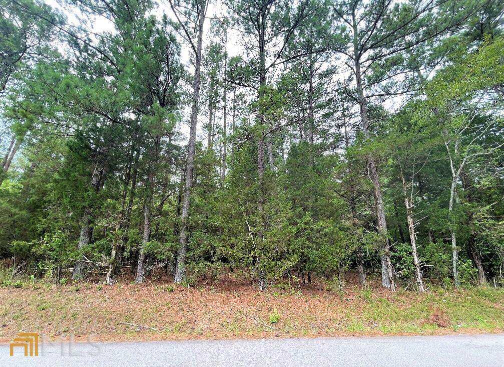 0 Harpers Ferry Road - Photo 1
