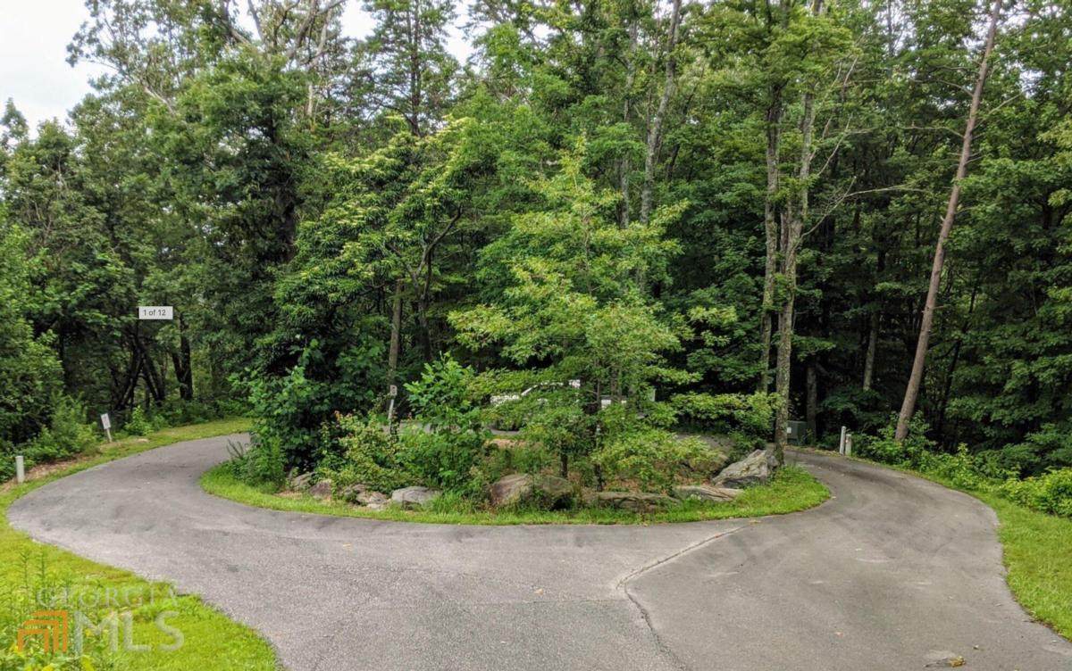 LOT 49 Winterberry Trace - Photo 1