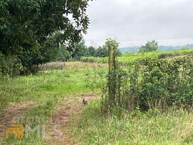 0 Davis Road - Photo 1