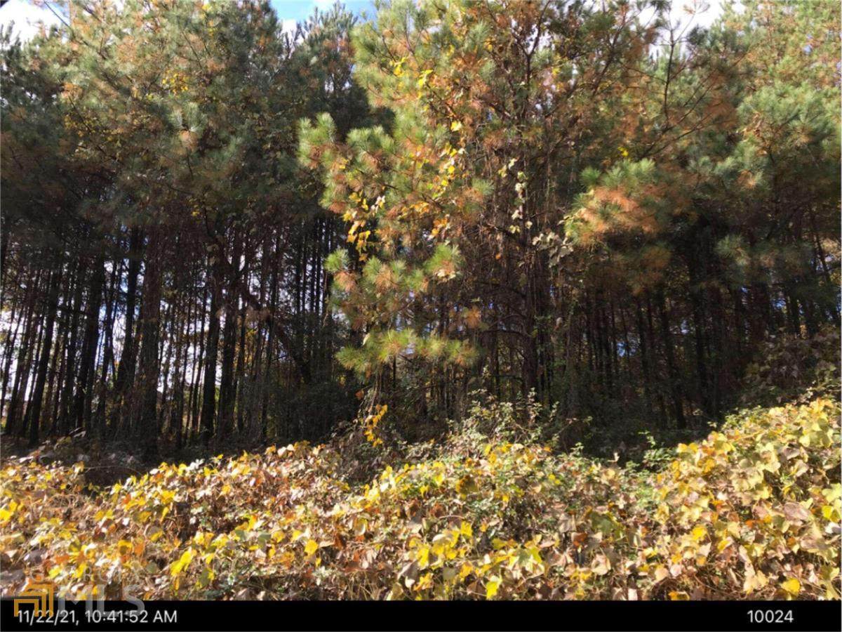 301 E Midland Avenue - Photo 1