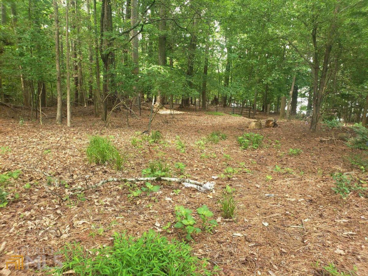 1751 Green Road - Photo 1