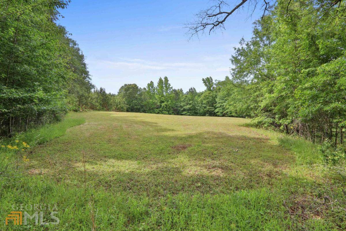 0 Dogwood Trail - Photo 1