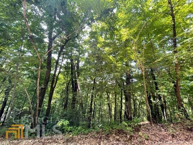 0 Knots Lane - Photo 1