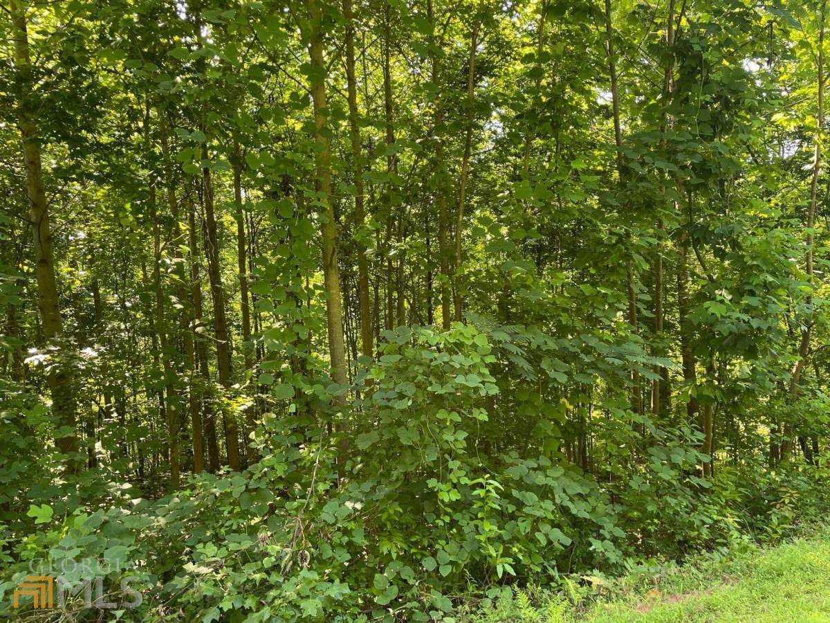 3 Long Mountain Trail - Photo 1