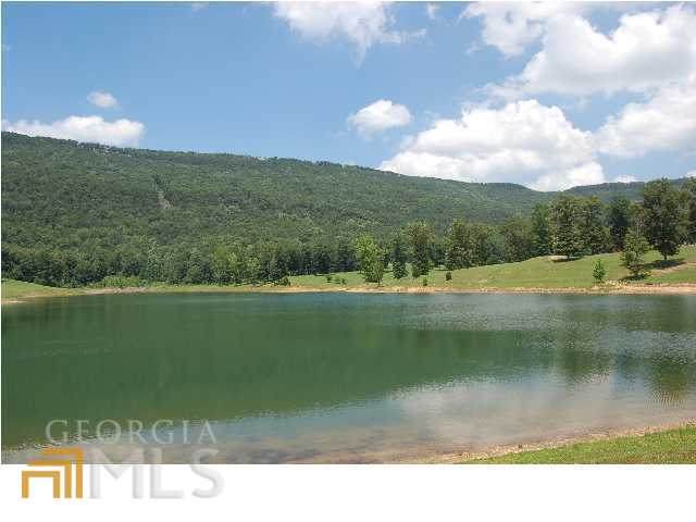 0 Newsome Gap Road - Photo 1