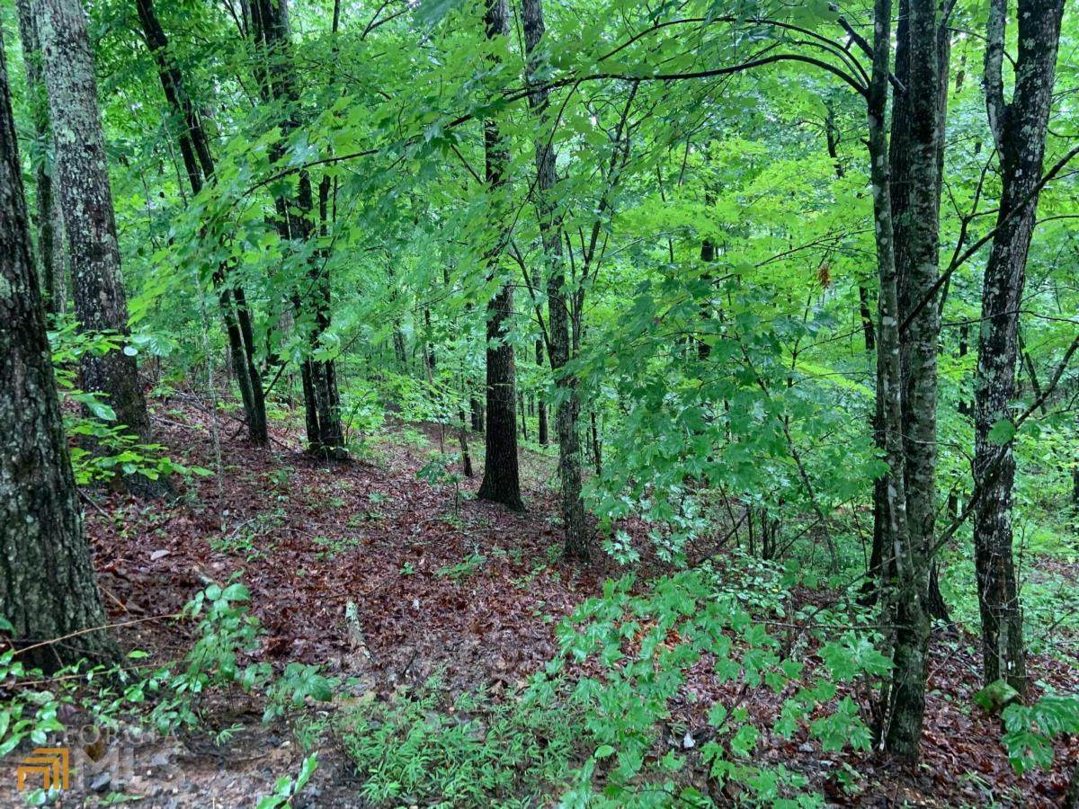 LOT34 Bear Den Road - Photo 1